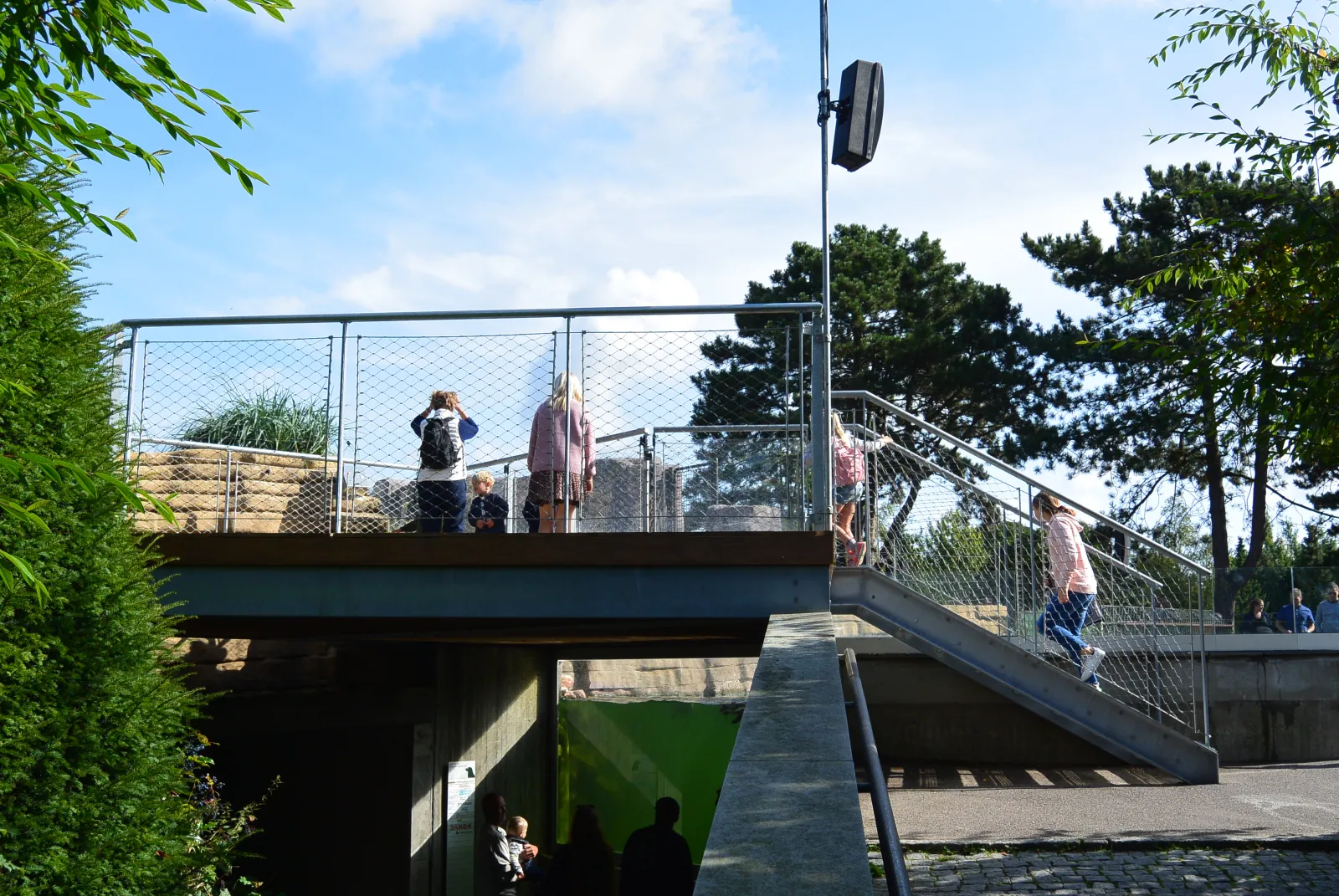 Zoologisk Have - Pingvinanlæg